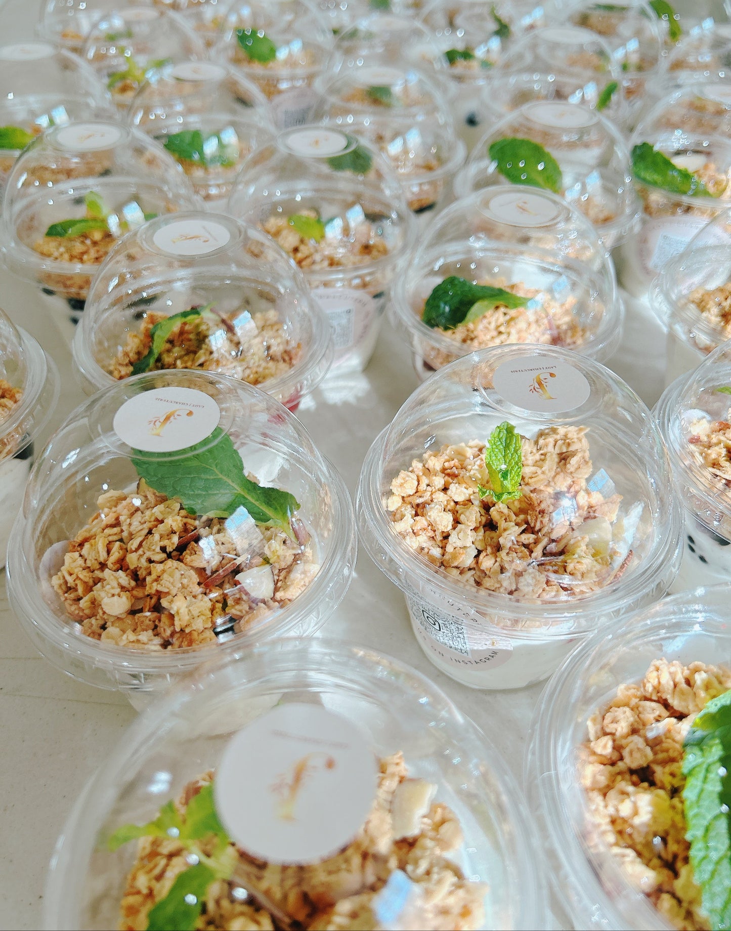 Yogurt Parfaits
